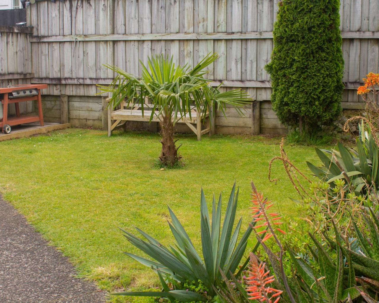 Palm Motel Waihi Extérieur photo