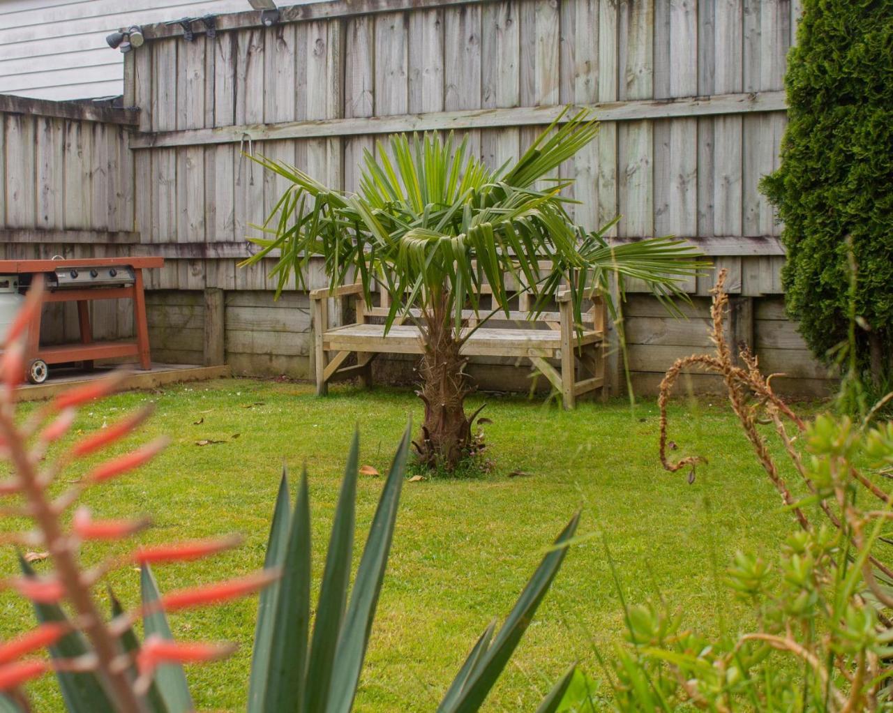 Palm Motel Waihi Extérieur photo