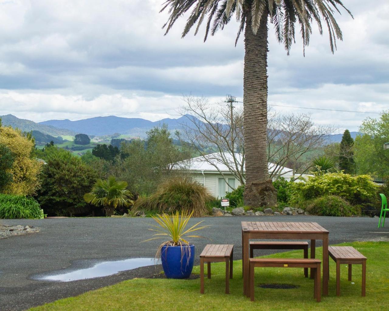 Palm Motel Waihi Extérieur photo